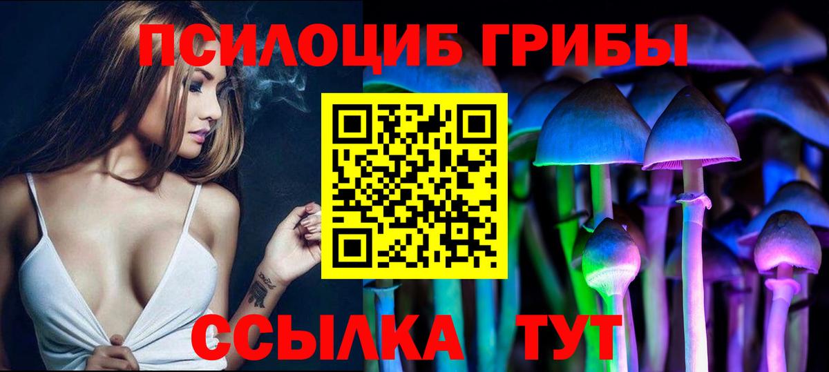 Псилоцибиновые грибы GOLDEN TEACHER Кизилюрт