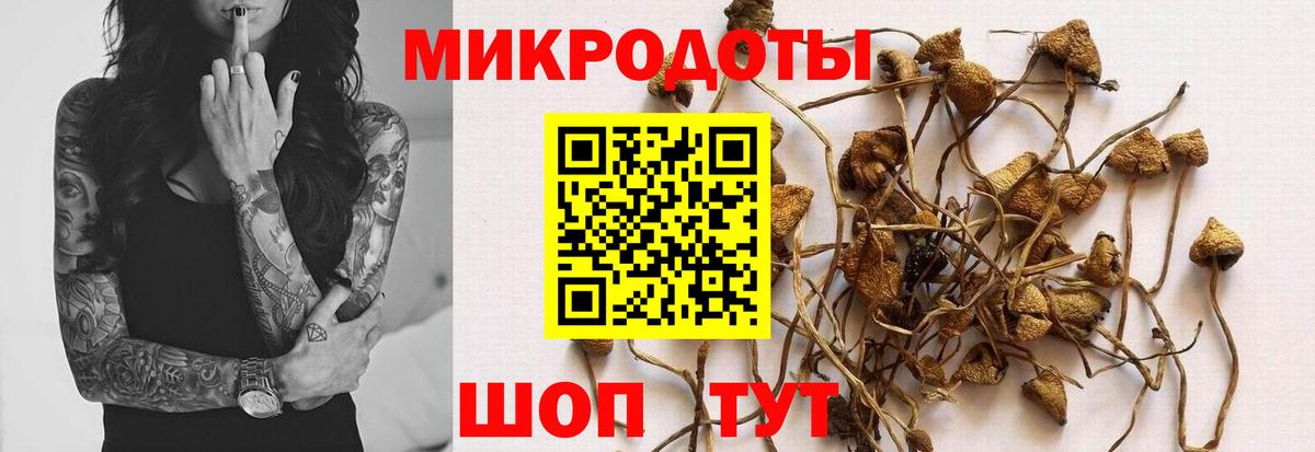 Кизилюрт  Галлюциногенные грибы Magic Shrooms  Вход с VPN  Галлюциногенные грибы ЛСД 