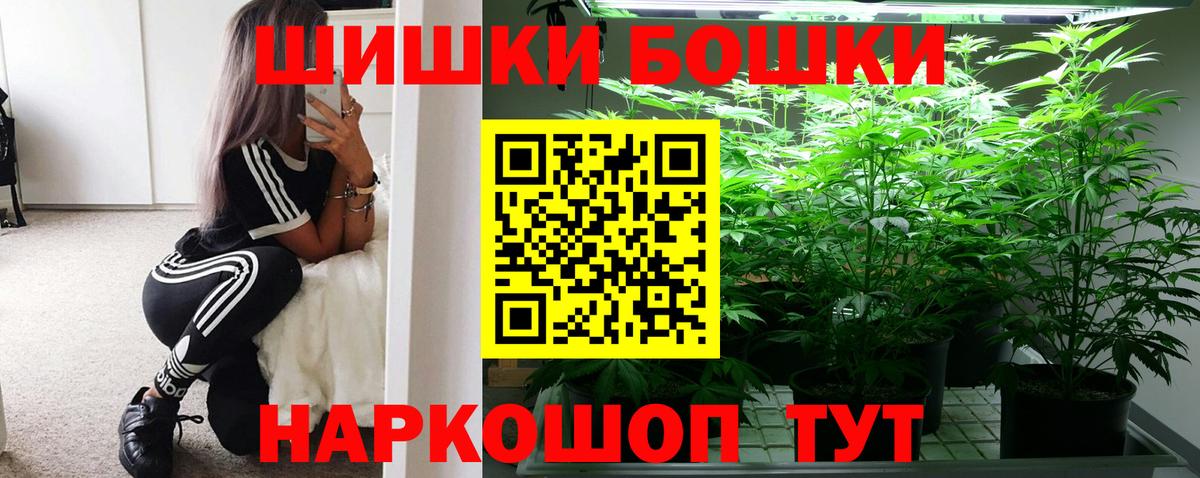 Бошки Шишки план Кизилюрт